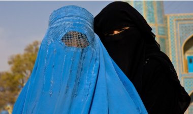 तालिबानचा फरमान : मुलींनी हिजाब परिधान करूनच शिक्षण घ्यावे