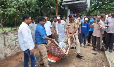 कलेक्टर ऑफिस समोर महीलेने जाळून घेतले....