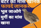 बटेर का मांस खाने के फायदे जानकार भूल जाओगे मुर्गी का मांस खाना