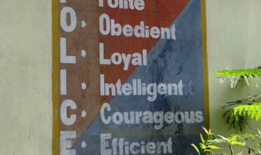 P.O.L.I.C.E. : भिंतीवरचं चित्र, जमिनीवर शून्य