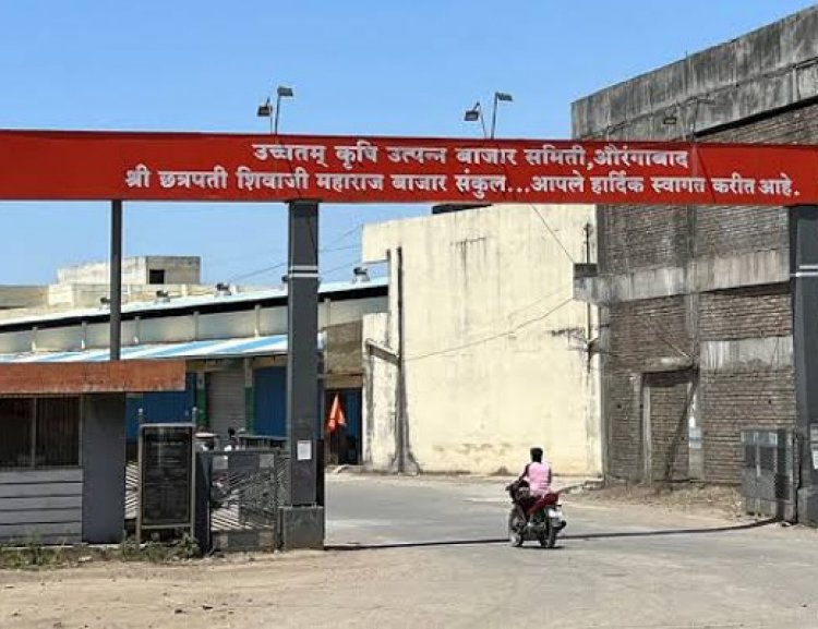 अवैध प्लॉटिंगचा पर्दाफाश : एपीएमसीवर कारवाईचा बडगा, दुय्यम निबंधकांची नोटीस