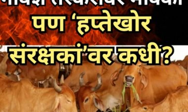गोवंश तस्करांवर मोक्का; पण ‘हप्तेखोर संरक्षकां’वर कधी?